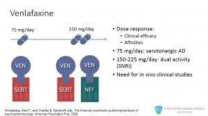 Venlafaxine And Desvenlafaxine Differences And Similarities