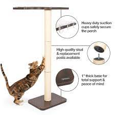 Check spelling or type a new query. The Perfect Cat Window Perch Both Sturdy Stylish