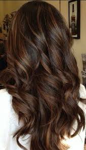 30 Looks With Caramel Highlights On Brown And Dark Brown Hair Mocha Brown Hair Color Mocha Hair Mocha Brown Hair