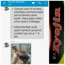 Ternyata bawang putih punya manfaat dalam kesehatan pria. Kyojin Segel Gold Pakan Ayam Raksasa Original Segel Gold Shopee Indonesia