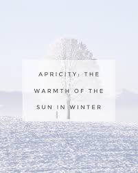There are plenty of photo opportunities for winter: Apricity The Warmth Of The Sun In Winter Winterwedding Winter Hygge Warmth Quotes Unusual Words Winter Quotes