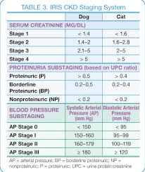 Canine Chronic Kidney Disease Current Diagnostics Goals