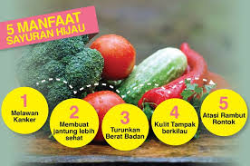 Ajinomoto dan garam dapur adalah dua hal yang tidak akan lepas dari kegiatan di dapur. Infografis 5 Alasan Kenapa Kamu Harus Konsumsi Sayur Hijau Alasan Ke 5 Berguna Banget Semua Halaman Grid