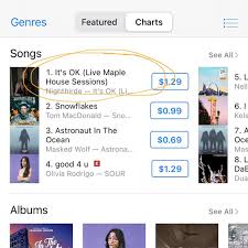 Nightbirde's real name is jane, and she says that she only uses that stage name when singing. Nightbirde Woke Up 1 On Itunes This Morning Living In A Dreamland Agt Seejanewinagt Facebook