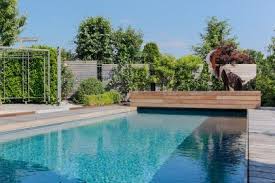 Technik Elemente Im Naturpool Tipps Von Haas Galabau Natur Pool Pool Unterwasserbeleuchtung