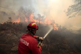 A n5m/projectos trabalha em equipa entre colaboradores, clientes e parceiros, fazendo o que for necessário para que todos se mantenham juntos para. Incendio Em Tavira Ja Queimou Um Terco Do Concelho Meios Vao Ser Reforcados Publico