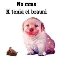Pin De N3ch7 En Perrito De Stock Memes Lindos Memes Divertidos Memes Graciosos Para Whatsapp