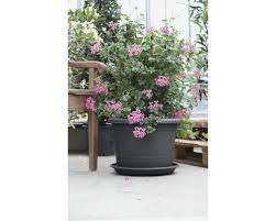 Check spelling or type a new query. Pflanzkubel Geli Montana Kunststoff O 60 H 41 5 Cm Anthrazit Bei Hornbach Kaufen