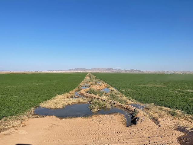 The Colorado River is drying up. Here's how that affects Indigenous water  rights | Grist