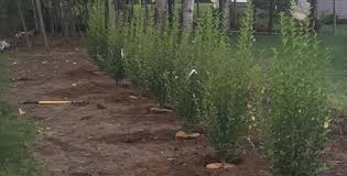 $2,500 home for rent in baldwinsville, new york. Landscaping Baldwinsville Ny Landscaping Syracuse Ny