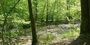 IN-PERSON Nature Infused Yoga with NJ Audubon