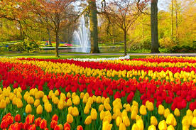 We did not find results for: The Best Places To Visit For Flower Bloom Daisy Vegabond