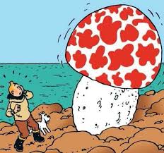 Tintin Tim Und Struppi Strichzeichnung Kunst Struppi