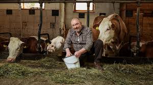Staffel 2 • episode 1 • 20.08.2011 • 21:15. Die Alm Kandidaten 2021 Wer Ist Raus Alle Promis Als Teilnehmer Am 24 6 21