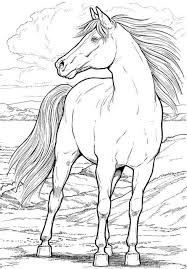 Realistic drawing of a knight mounted on his horse knight and horse horse coloring page 3: Top 55 Free Printable Horse Coloring Pages Online Horse Coloring Books Dover Coloring Pages Horse Coloring Pages