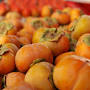 Persimmons from foodwise.org