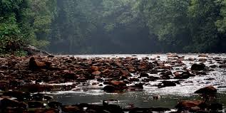 It encompasses a sprawling tropical rainforest that's said to be 130 million years old. Taman Negara National Park Wonderful Malaysia