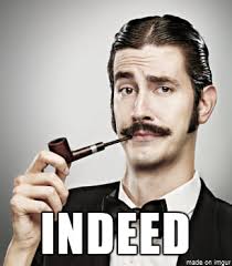 STICK BUG-CHAN STICK BUGS YOU!