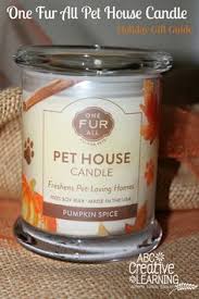 These are the best candles, according to reviews. 30 Harlo S Healthy Pets Ideas Healthy Pets Pets Home Candles