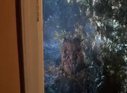 Looking at it many years later it seems primitive and crude, but it also displays an imaginative exuberance and joy that makes it one of film. Troll 1986 Imdb