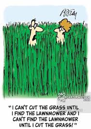 Umbrella means kuda in malayalam. What Dream About Green Grass Means