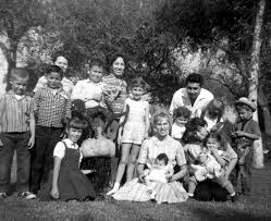 Louis Cook Platt Obituary