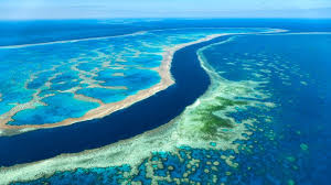 The great barrier reef is in such pristine condition that on 26 october 1981 it was listed by the world heritage trust as a protected site. Drilling Reveals The Great Barrier Reef S Restless Past Research Highlights