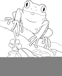 Learn about famous firsts in october with these free october printables. Online Coloring Pages Frog Coloring Frog The Frog