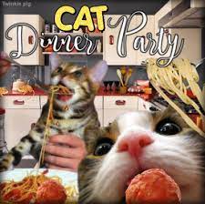To make it easier to find pages. Cat Dinner Party Cats Cat Party Funny Cat Videos