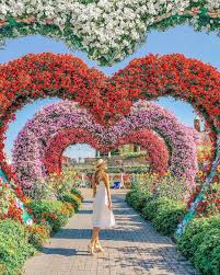 Dubai Miracle Garden Uae United Arab Emirates Flower Garden Travel Tourist Attraction Sightseeing Spots Superb Miracle Garden Dubai Travel Dubai Garden