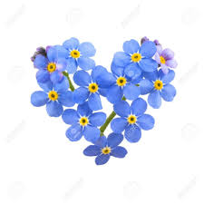 Download high quality forget me not clip art from our collection of 65,000,000 clip art graphics. Illustration Of Holiday Frame With Forget Me Not Bouquet And Flower Drawing Flower Clipart Flower Tattoos