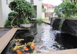 Anda bisa membuat desain kolam ikan minimalis seperti di atas. 60 Inspirasi Desain Kolam Ikan Minimalis Yang Artistik Rumahpedia