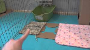 Wash out the food bowl (s). How To Set Up Your Rabbits Cage Youtube
