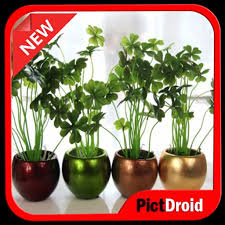 If you have a question about these plans, or anything else dealing with hydroponic or organic gardening, and you can't find the answer you can always ask the professor. Hydroponic Design For Android Apk Download