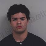 Luis Patchett Rodriguez — Lowndes County Jail Bookings