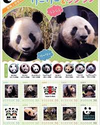 Jun 23, 2021 · 東京都は、妊娠の兆候が確認されていた上野動物園のメスのジャイアントパンダ・シンシンが、23日午前1時から2時過ぎにかけて双子の赤ちゃんを出産したと発表しました。 赤ちゃんの性別は不明です。 （以下略、続きはソースでご確認下さい） Pin Auf Pandas