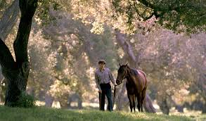 Anche le condizioni del cavallo sono gravi al punto che una veterinaria consiglia di abbatterlo. La Vita Ai Tempi Del Covid 19 Cosa Guardare Alla Tv Parte 15 Riders Advisor