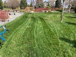 We did not find results for: Clean Cut Property Services Home Facebook