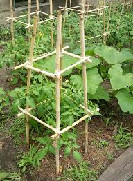 With a few supplies and a few hours you can build this quickly. 32 Diy Tomato Trellis Cage Ideas For Healthy Tomatoes