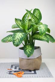 Diy Fabric Planters How To Decorate Flower Pots Fiskars Plant Pot Diy Plant Pot Covers Diy Planters Indoor
