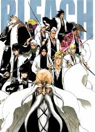 You can be from captain to 6th seat out of all the 13 court guard squads of bleach (anime series) you can make your character his/her zanpakuto and bankai. 13 Court Guard Squads Members Comic Vine
