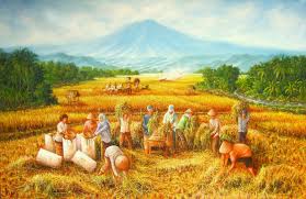 Ada banyak varietas padi yang bisa dulur pilih untuk dikembangkan, namun untuk varietas yang dipilih oleh mitra kami di ngawi bapak naren sendiri adalah varietas padi inpari sidenuk. Lukisan Pensil Pemandangan Sawah Padi Cikimm Com