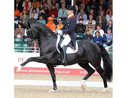 + add or change photo on imdbpro ». Leading Sires Are Well The Leading Sires Breeding News For Sport Horses