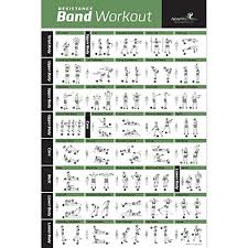 resistance band tube exercise poster laminated total body import it all