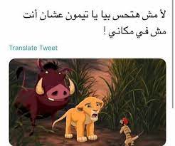pin by مايوري شان on حكم تيمون و بومبا funny picture quotes funny pictures picture quotes