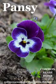 Check spelling or type a new query. Edible Flowers List With Flower Names And Pictures