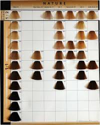 56 Specific Wella Hair Colors Chart