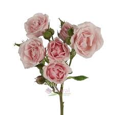 Majolika Light Pink Spray Rose Potomac Floral Wholesale