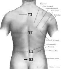 There are projections in this bone that serve as location of iliac crest. Posterior Superior Iliac Spine Wikipedia