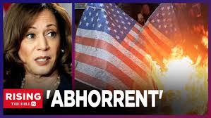 William Melucci's Instagram, Twitter & Facebook